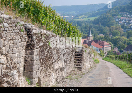 Weinberge, Ingelfingen, Region Hohenlohe, Baden-Württemberg, Heilbronn-Franken, Deutschland Stockfoto
