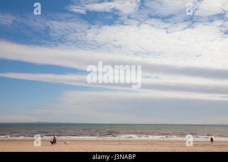 Edinburgh, Schottland. 6. Mai 2017. Menschen, die ihren Hund spazieren gehen, am Strand von Portobello in Edinburgh, der Hauptstadt von Schottland, UK. Wetter: 6 Mai Temperaturen oberhalb Saisondurchschnitte abseits der Küsten, vor allem in West Lothian Höchststand. Aber es wird trüber als Freitag, besonders über den Süden durch und später über die Ostküste, wo einige niedrige Wolkendecke entwickelt. Bildnachweis: Gabriela Antosova/Alamy Live-Nachrichten Stockfoto