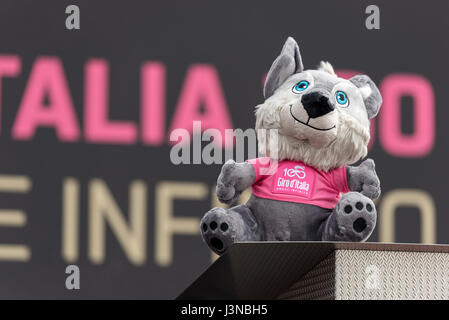 Olbia, Italien. 6. Mai 2017. "Wolfie", Mascotte der 100. Ausgabe des Giro d ' Italia. Bildnachweis: Giacomo Altamira/Alamy Live-Nachrichten Stockfoto