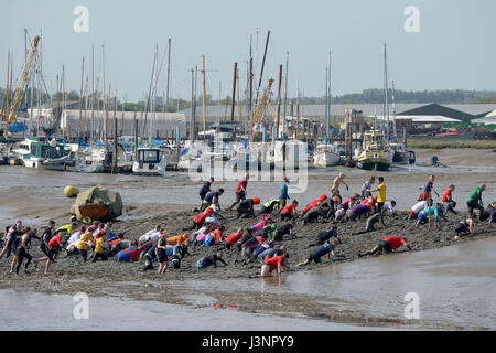 Maldon, Essex, England. 7. Mai 2017. Hunderte von Konkurrenten nehmen Teil am 2016 Maldon Schlamm-Rennen auf der Promenade Park Maldon Essex. Das Rennen wird auf einem 450 Meter über dem Fluss Blackmore und kann nur bei Ebbe stattfinden. Dieses Ereignis begann 1973, als eine Mann, einen Smoking, ein Essen am Ufer des Flusses dienen don in Frage gestellt wurde.  Dies führte später zu einem Rennen über den Fluss, wo die Einheimischen einen Pint aus einem wartenden Fass Bier zu trinken, bevor Sie wieder zurück Rennen musste. Dieses Jahre Rennen wurde von fast 300 Teilnehmer und 10.000 Zuschauer angefochten. Bildnachweis: MARTIN DALTON/Alamy Live-Nachrichten Stockfoto