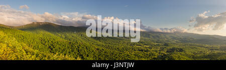 Panorama auf das Shenandoah-Tal zur goldenen Stunde gesehen von Shenandoah-Nationalpark mit dem Wald ein helles, leuchtendes Grün und Wolken am Himmel Stockfoto