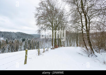Winter mit tiefem Schnee nahe dem Dorf Eifel Monschau in Deutschland, eine unbefestigte Straße führt in das Bild. Stockfoto