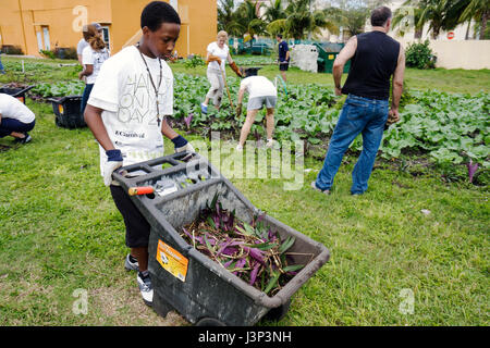 Miami Florida, Overtown, Hands-on-HandsAm Miami Day engagieren sich Freiwillige ehrenamtlich als Arbeiter, arbeiten Teamwork zusammen und helfen dabei Stockfoto