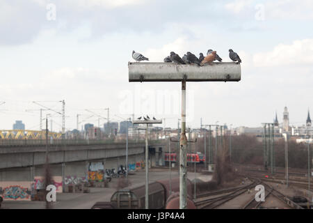 Tauben sitzen auf eine Straßenlaterne auf einem Bahnhof Stockfoto