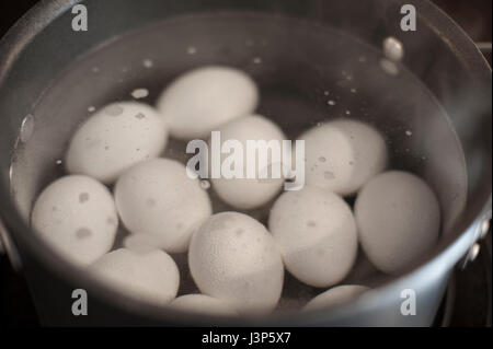 Weißen Eiern Kochen in einem Topf Stockfoto