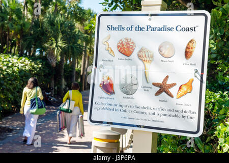 Naples, Florida, Golf von Mexiko Küste, Clam Pass Park, Paradise Coast, öffentlicher Strand, Schild, Informationen, Muscheln, Muscheln, informieren, erziehen, Frau weibliche Frauen, Wal Stockfoto