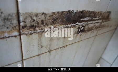 Alte Schlamm auf eine alte Fliese mit Scheidungen an der Wand. Stockfoto