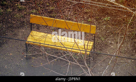 Eine gelbe Bank im Innenhof unter den Bäumen. Stockfoto