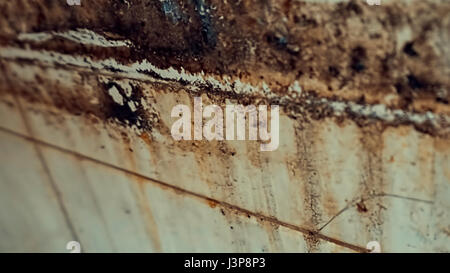 Alte Schlamm auf eine alte Fliese mit Scheidungen an der Wand. Stockfoto