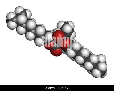 1,2-Cyclohexan dicarboxylic Säure Diisononyl Ester (DINCH) Weichmacher Molekül. Alternative zu Phthalaten. Atome sind als Kugeln mit Conv vertreten. Stockfoto