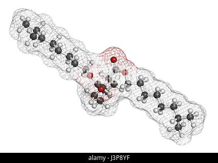 1,2-Cyclohexan dicarboxylic Säure Diisononyl Ester (DINCH) Weichmacher Molekül. Alternative zu Phthalaten. Atome sind als Kugeln mit Conv vertreten. Stockfoto