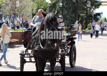 Kursk, Russland - 1. Mai 2017: schwarzes Pferd mit Wagen Stockfoto