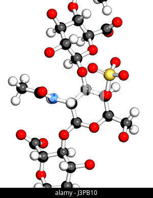 Chondroitinsulfat (kurzes Fragment). Wichtiger Bestandteil des Knorpelgewebes. Als diätetische Ergänzung in der Behandlung von Arthrose eingesetzt. Atome sind transpa Stockfoto