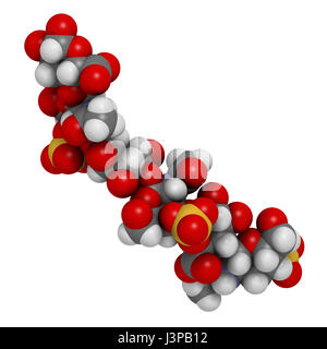 Chondroitinsulfat (kurzes Fragment). Wichtiger Bestandteil des Knorpelgewebes. Als diätetische Ergänzung in der Behandlung von Arthrose eingesetzt. Atome sind transpa Stockfoto