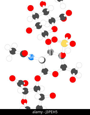 Chondroitinsulfat (kurzes Fragment). Wichtiger Bestandteil des Knorpelgewebes. Als diätetische Ergänzung in der Behandlung von Arthrose eingesetzt. Atome sind transpa Stockfoto