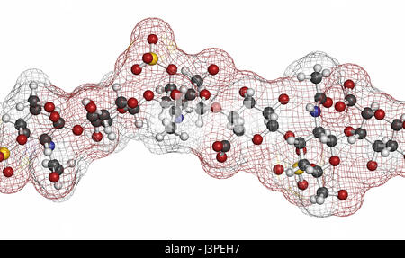 Chondroitinsulfat (kurzes Fragment). Wichtiger Bestandteil des Knorpelgewebes. Als diätetische Ergänzung in der Behandlung von Arthrose eingesetzt. Stockfoto