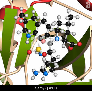 Thrombin Blutgerinnung Enzym Argatroban Wirkstoffmolekül verpflichtet. Thrombin wandelt lösliches Fibrinogen in unlösliches Fibrin. Cartoon Darstellung w Stockfoto