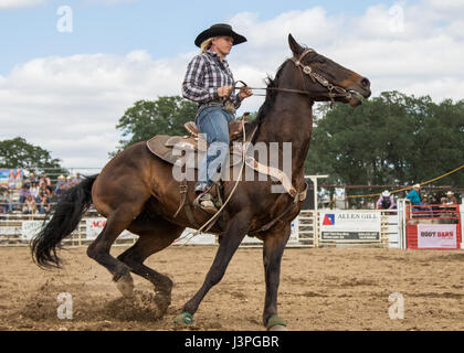 Barrel racing-Action beim Rodeo in Cottonwood, Kalifornien. Stockfoto