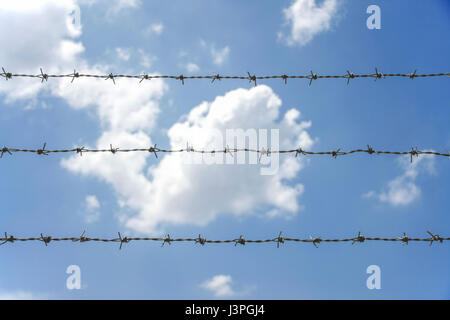 Stacheldraht Zaun mit blauen Himmel und weiße Wolke in hellen Tag Stockfoto