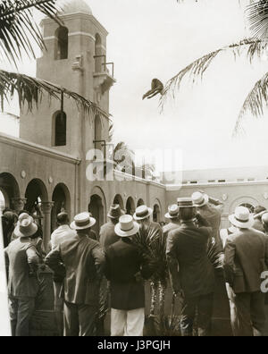 Helen Meany (Tauchen Olympiasieger - 1920, 1924,1928) Tauchen vom Sprungbrett High Dive in The Breakers Resorthotel in Palm Beach, Florida im Februar 1930. Stockfoto