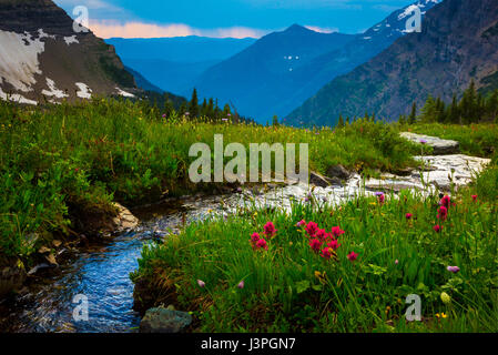 Glacier-Nationalpark ist ein Nationalpark befindet sich im US-Bundesstaat Montana, an der Kanada-USA-Grenze mit den kanadischen Provinzen von Alber Stockfoto