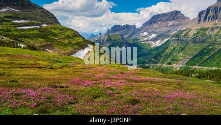 Glacier-Nationalpark ist ein Nationalpark befindet sich im US-Bundesstaat Montana, an der Kanada-USA-Grenze mit den kanadischen Provinzen von Alber Stockfoto