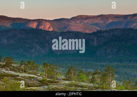 Frühling am Morgen in Nissedal, Telemark, Norwegen. Stockfoto