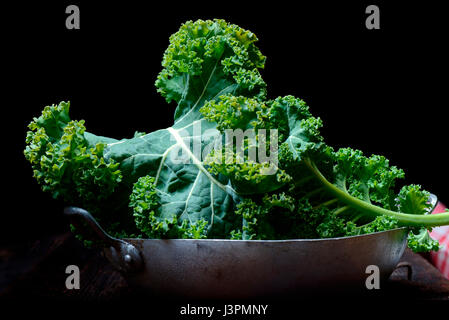 Gruenkohl in der Schale, Gruenkohl, Krauskohl, Federkohl, Winterkohl, Brassica Oleracea Acephala var. Sabellica Stockfoto