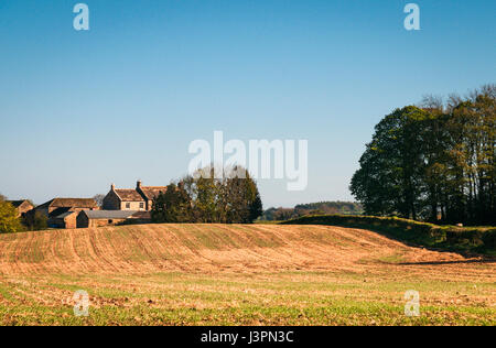 Mowbray Hall von Mowbray Burg, die Torheit in Hackfall Wood, Wensleydale, Yorkshire, England Stockfoto