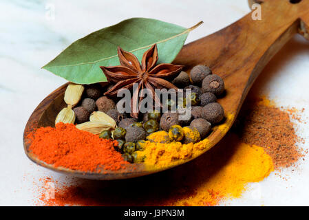 Verschiedene Gewuerze in Holzloeffel, Paprika, Chili, Piment, Kurkuma, Sternanis, Kardamom, grüner Pfeffer, Lorbeerblatt, Muskatnusspulver Stockfoto