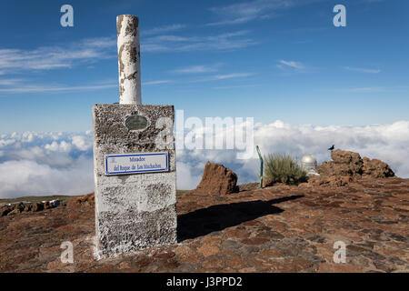 Kolkrabe, nördlichen Rabe, Nordic optical Telescope, nicht, Roque de Los Muchachos, Tijarafe, La Palma, Spanien, Corvus Corax, Stockfoto