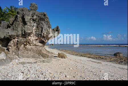 Felsformation am Meeresufer, Atoll Tikehau, Tuamotu-Archipel, Französisch-Polynesien, Süd-Pazifik Stockfoto