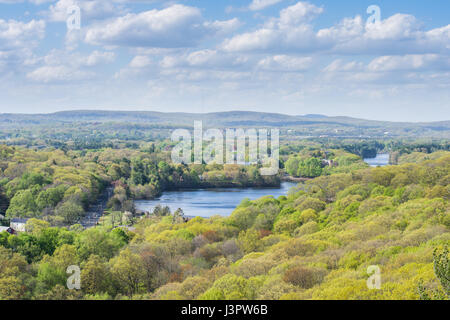 Aerial Skyline von New Haven Connecticut aus East Rock im Sommer Stockfoto