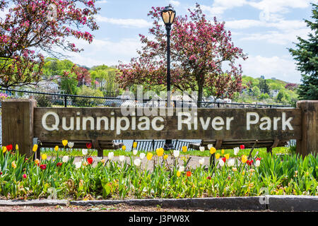 Häuser in Quinnipiac River Park in New Haven Connecticut Stockfoto