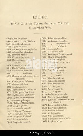 Index-Curtis' 140 (ser. 4 Nr. 10) (1914) Stockfoto