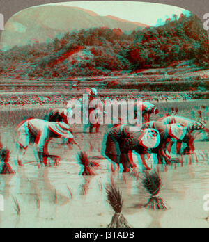 Bild mit dem Titel „Japonia anaglif 600“ (Anaglyph Japan 600), das eine stereoskopische Ansicht einer japanischen Landschaft zeigt und eine 3D-Perspektive der Landschaft bietet. Stockfoto