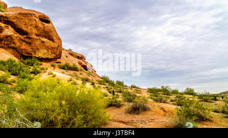 Erosion der rote Sandstein Buttes Papago Park in der Nähe von Phoenix Arizona interessanten Felsformationen gegründet. Stockfoto