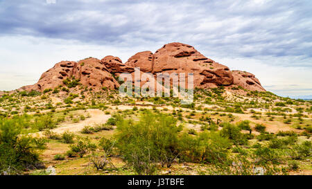 Die aus rotem Sandstein Buttes Papago Park mit seinen zahlreichen Höhlen und Spalten verursacht durch Erosion unter bewölktem Himmel in der Stadt Tempe, Arizona in den USA Stockfoto
