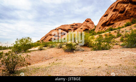 Erosion der rote Sandstein Buttes Papago Park in der Nähe von Phoenix Arizona interessanten Felsformationen gegründet. Stockfoto