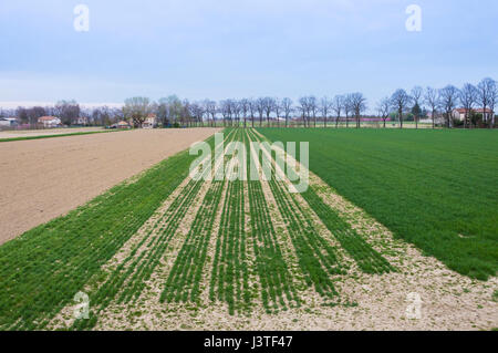Sanfte Farben kultiviert Feld nach Passage von Traktoren und Aussaat Stockfoto