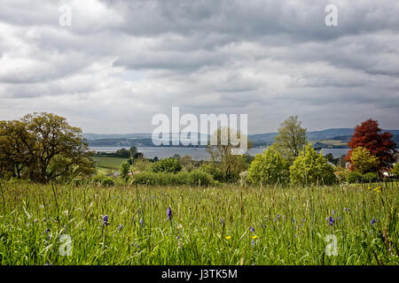 Blick vom LA Ronde Gärten über die Mündung des Flusses Exe Stockfoto
