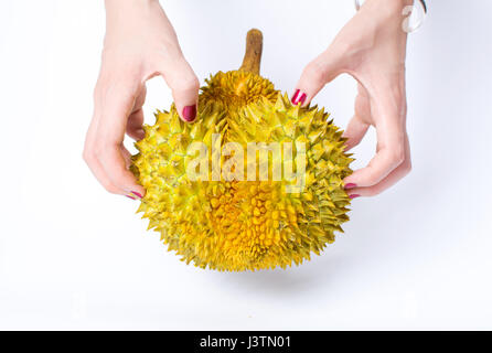 Hände halten scharfe Durian tropischen Früchten isoliert Stockfoto