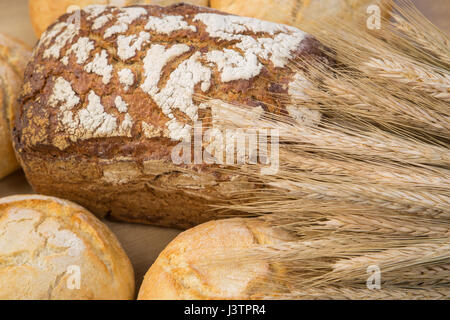Frisches Brot mit einem Korn Stockfoto