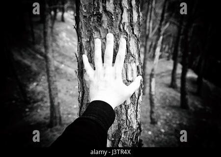 Männliche Hand Berühren eines Baumes, Detail der Liebe zur Natur, Umwelt Stockfoto