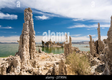 Tuffstein im salzigen Wasser des Mono Lake in Kalifornien Stockfoto