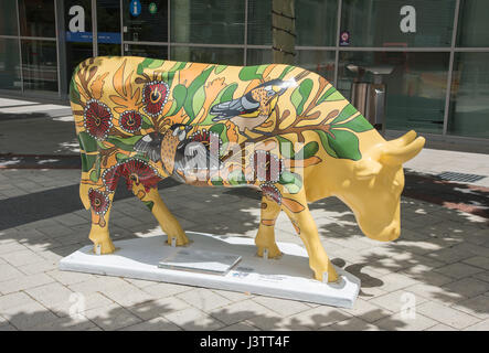 Vibrantly bemalte Kuh Skulptur Installation Ereignis auf öffentlichen Bürgersteig in der Innenstadt von Perth, Westaustralien. Stockfoto