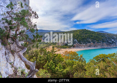 Luftaufnahme der schöne Strand von Cala Luna Stockfoto