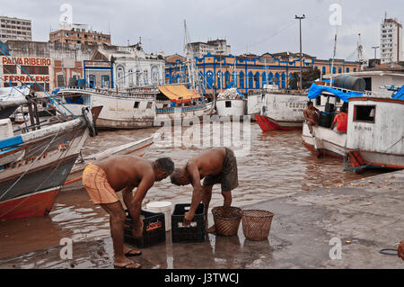 Brasilien, die Fischer im Hafen von Belém do Pará Stockfoto