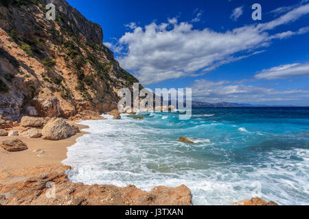 Cala Mariolu, eines der wildesten Strände auf Sardinien. Vor Jahren war der Ort, wo dir Mönchsrobbe (Monachus Monachus) kam zu reproduzieren Stockfoto