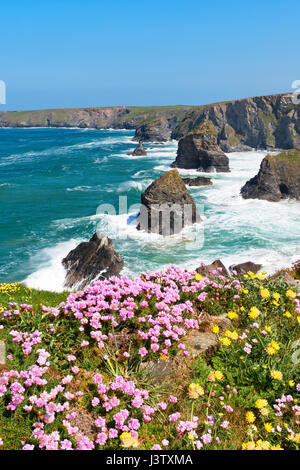 Bedruthan Schritte eine Felsformation auf der nördlichen Küste von Cornwall, England, UK Stockfoto